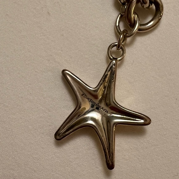 Tiffany’s Sterling Silver Rolo Link Turquoise Starfish Bracelet - Picture 3 of 5